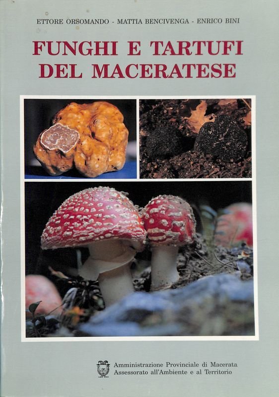 Funghi e tartufi del maceratese