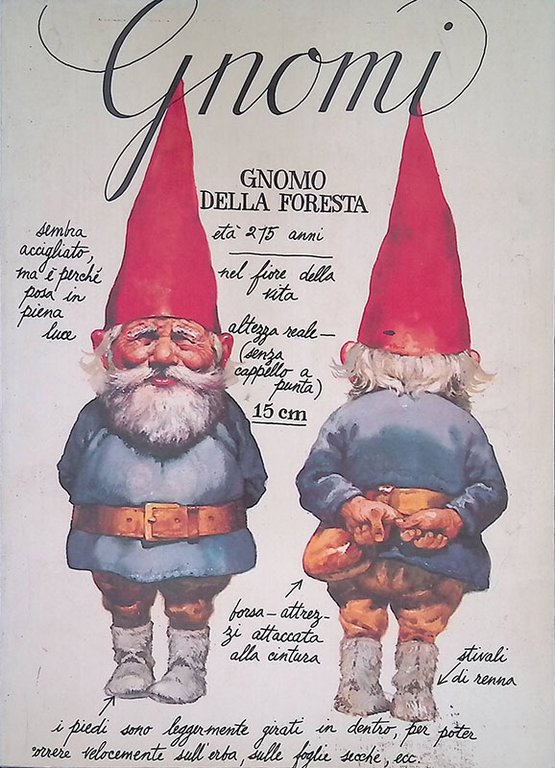Gnomi
