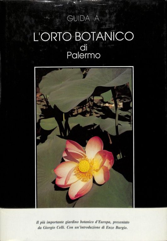 Guida a l'orto botanico di Palermo