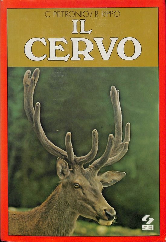 Il cervo