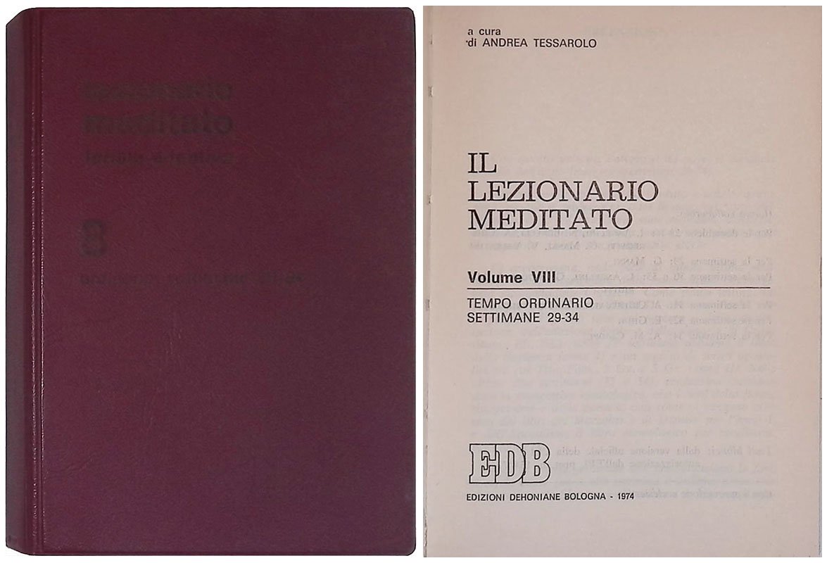 Il lezionario meditato. Vol. VIII - Tempo ordinario, Settimane 29-34 | Immagine principale