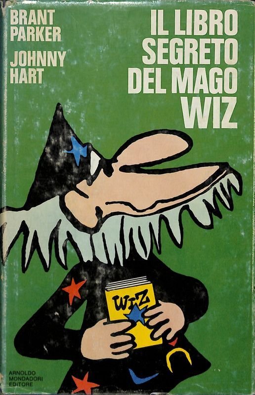 Il libro segreto del mago Wiz