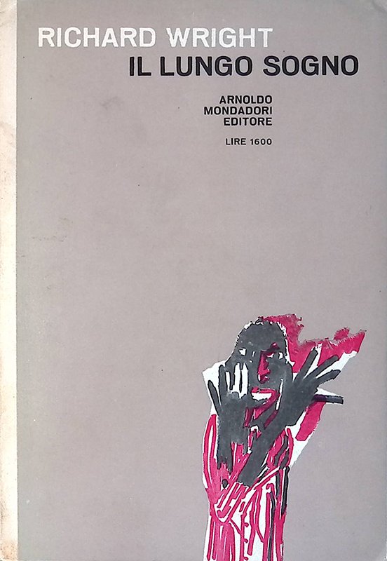 Il lungo sogno | Immagine principale