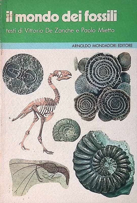 Il mondo dei fossili