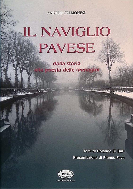Il naviglio pavese. Dalla storia alla poesia delle immagini