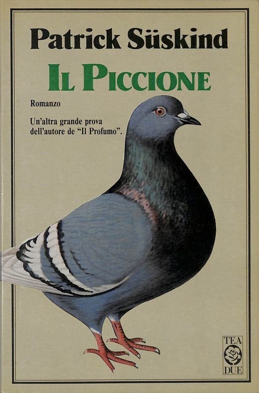 Il piccione | Immagine principale