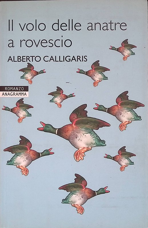 Il volo delle anatre a rovescio