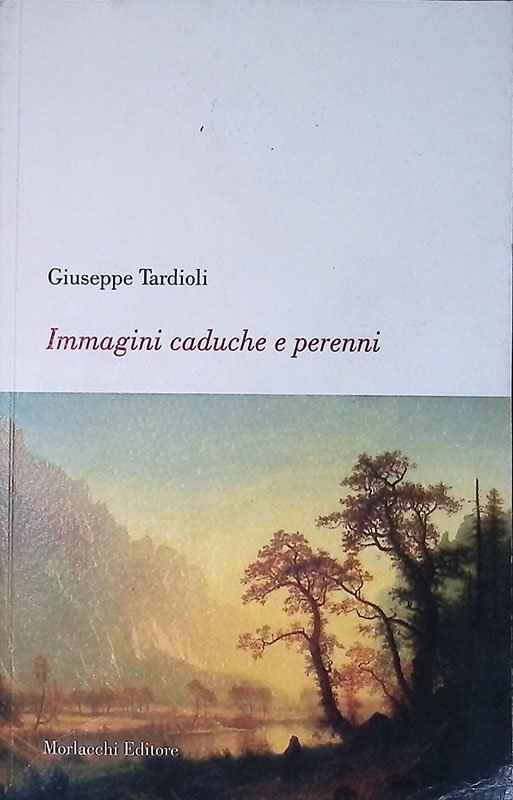 Immagini caduche e perenni
