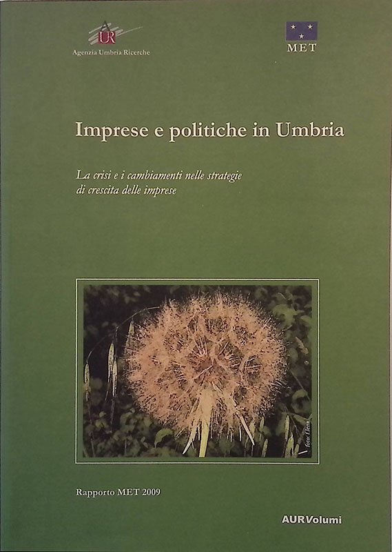 Imprese e politiche in Umbria. La crisi e i cambiamenti …