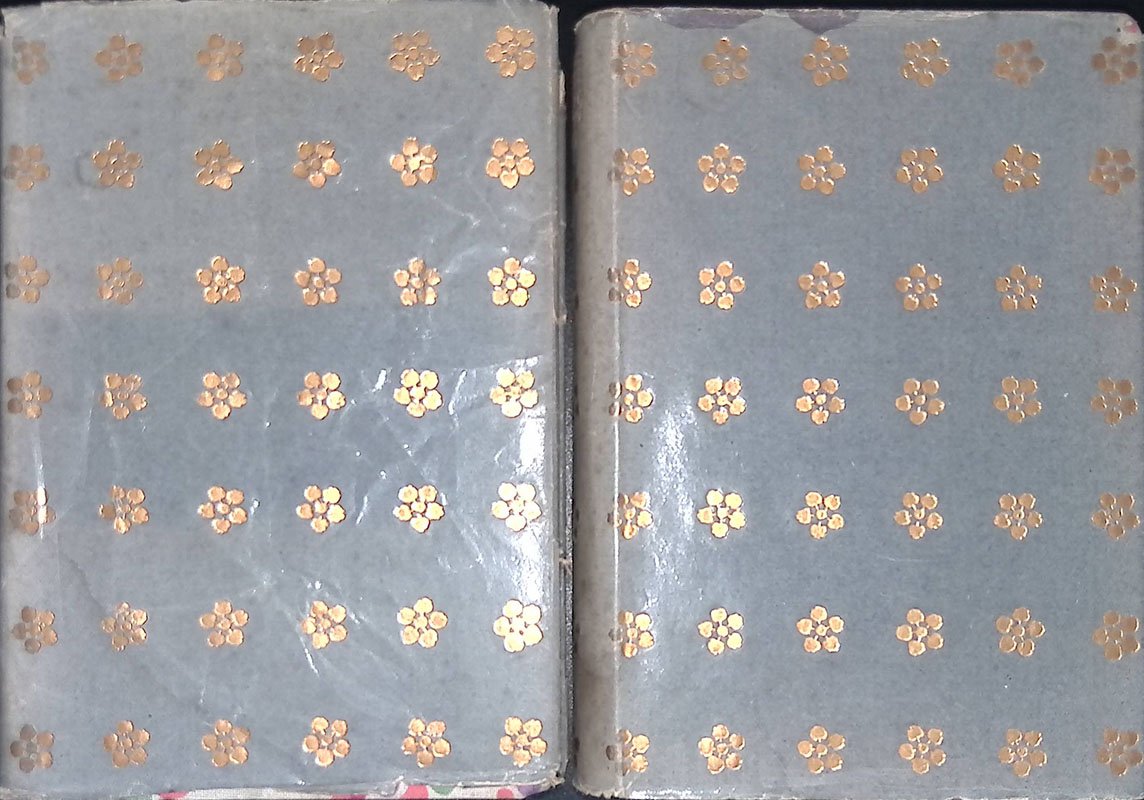 Istorie Fiorentine. Volume I e II | Immagine principale