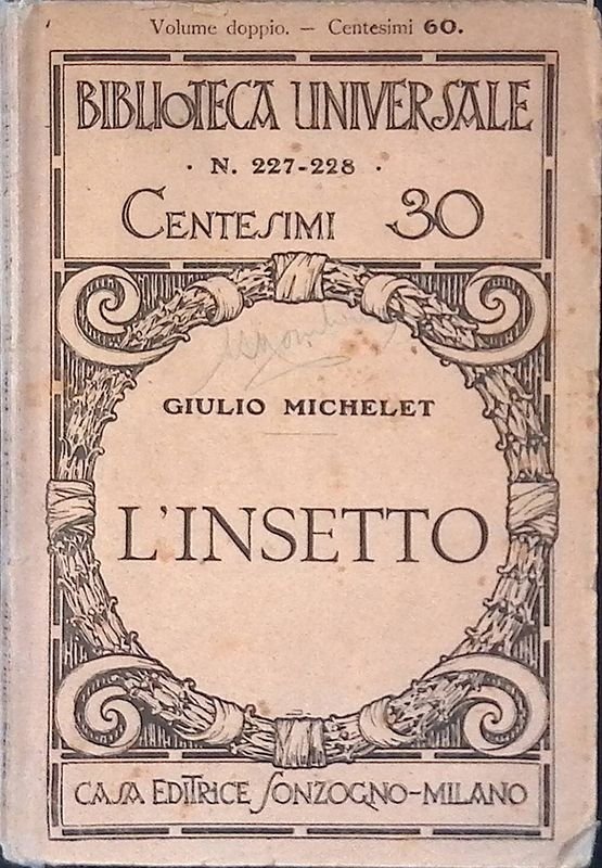 L'insetto | Immagine principale