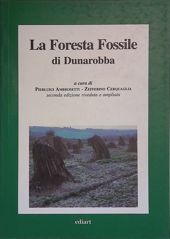 La Foresta Fossile di Dunarobba