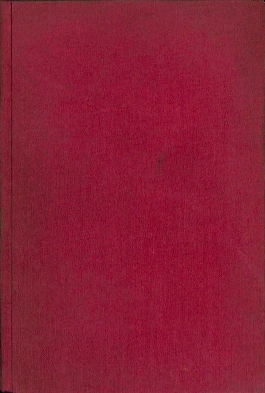 La madre. Romanzo di vita russa