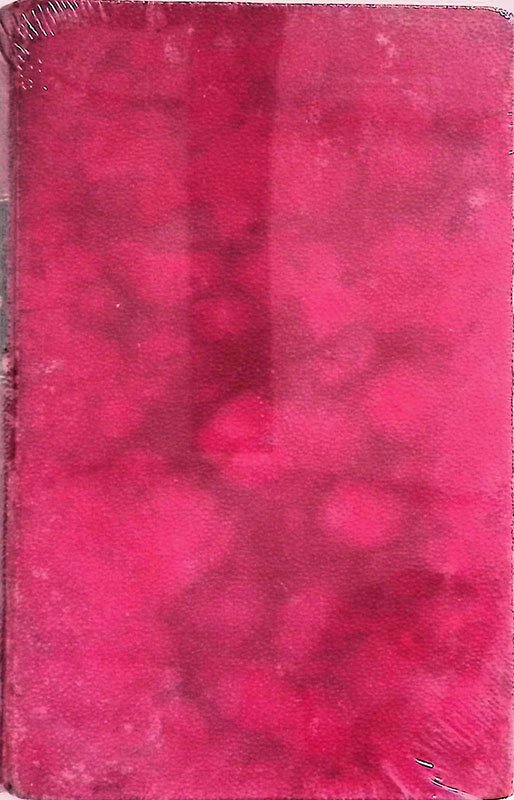 La passione di Fiume. Diari, cronache, documenti