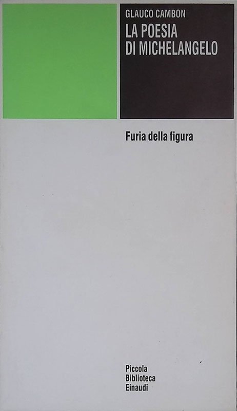 La poesia di Michelangelo. Furia della figura | Immagine principale