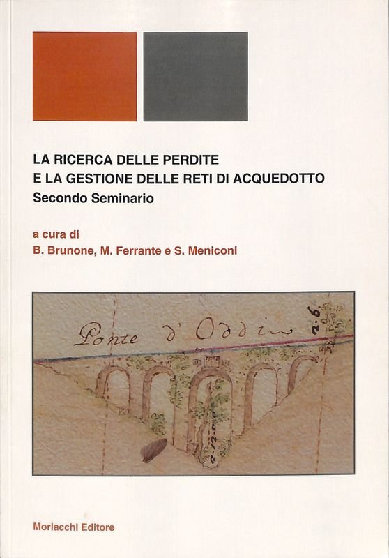 La ricerca delle perdite e la gestione delle reti di …