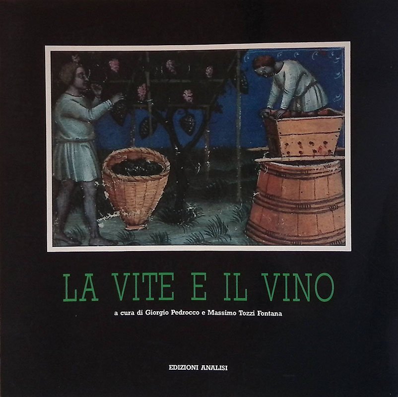 La vite e il vino