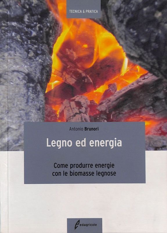 Legno ed energia. Come produrre energie con le biomasse legnose