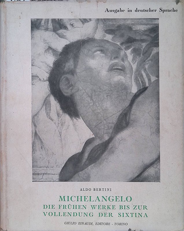 Michelangelo. Die fruhen werke bis zur Vollendung der Sixtina