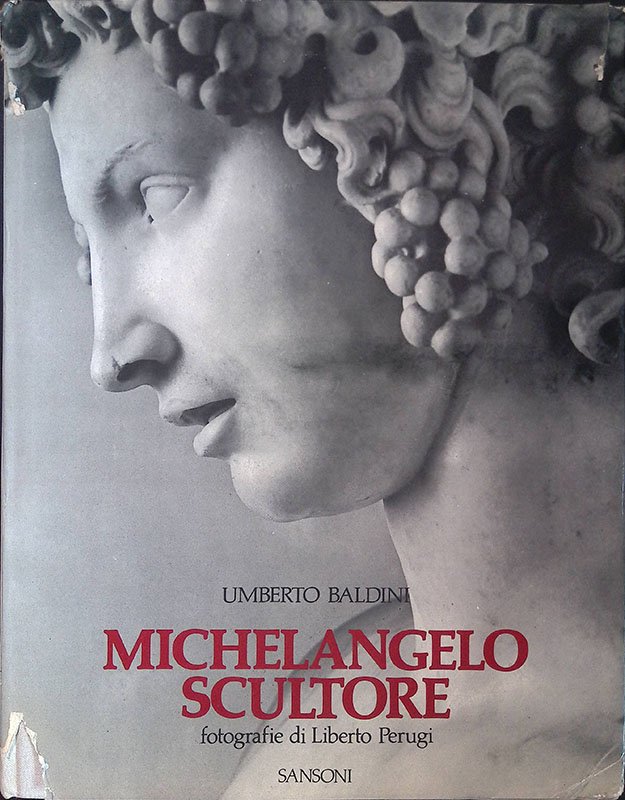 Michelangelo scultore