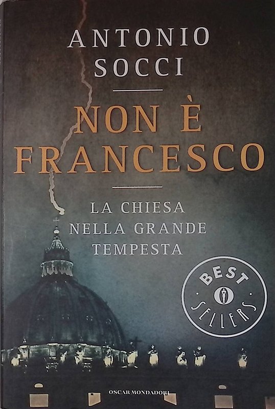 Non è Francesco. La Chiesa nella grande tempesta | Immagine principale
