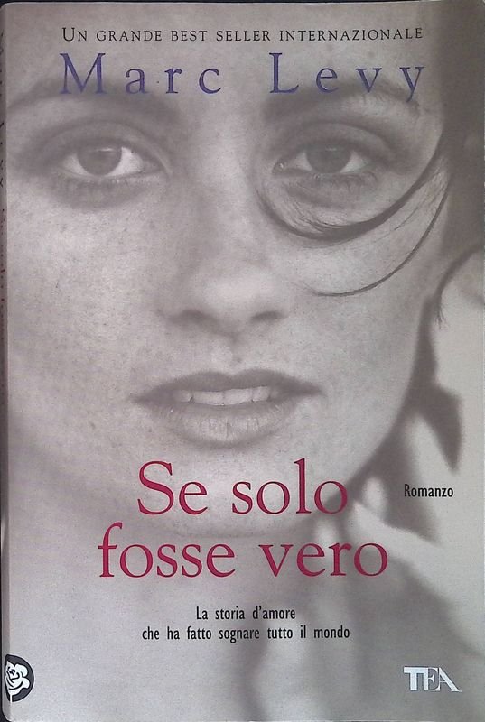 Se solo fosse vero | Immagine principale