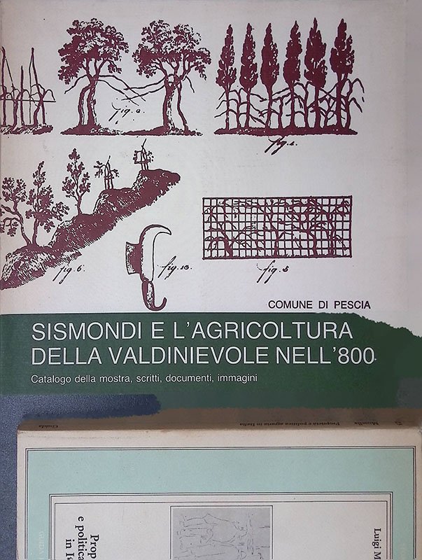 Sismondi e l'agricoltura della Valdinievole nell'800. Catalogo della mostra, scritti, …