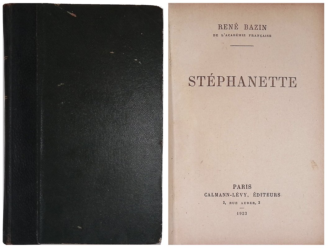 Stephanette | Immagine principale