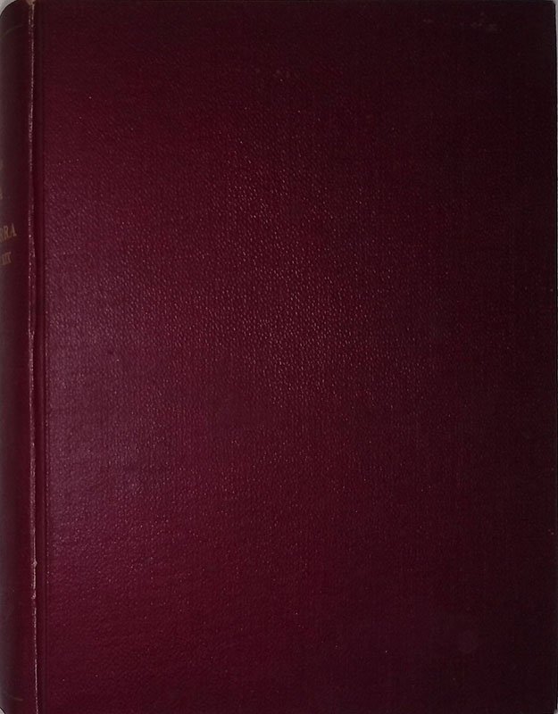 Storia dell'Inghilterra nel secolo XIX