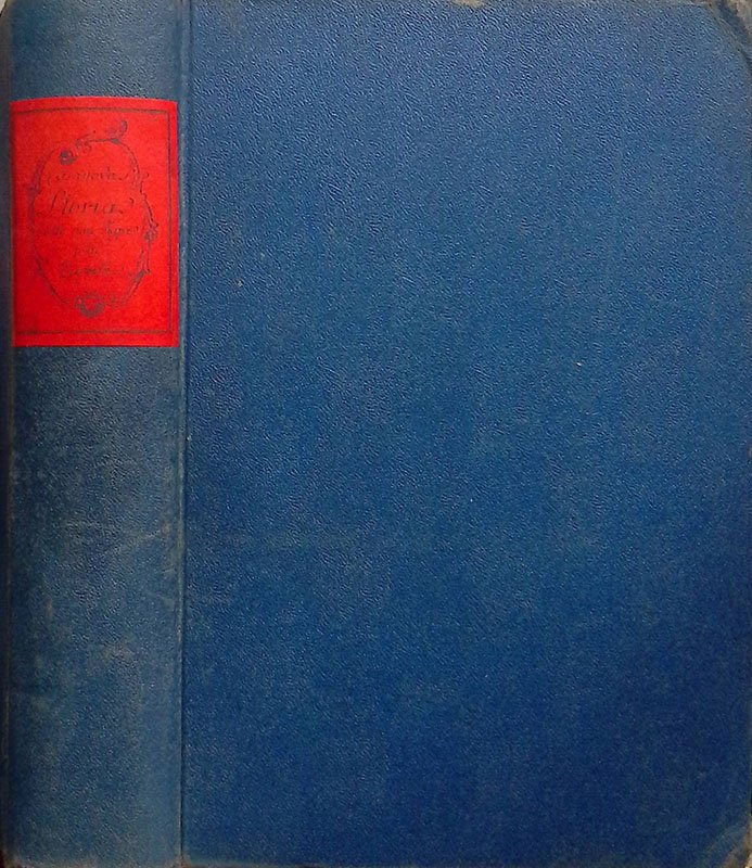 Storia della mia fuga dalle prigioni della Repubblica di Venezia … | Immagine principale