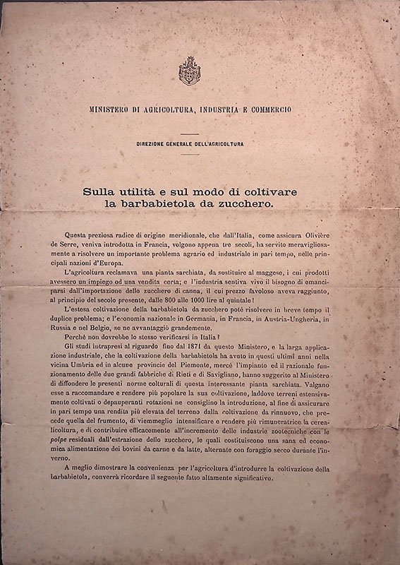 Sulla utilità e sul modo di coltivare la barbabietola da …