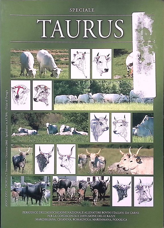 Taurus. Speciale Anno XVIII N.7 novembre-dicembre 2006