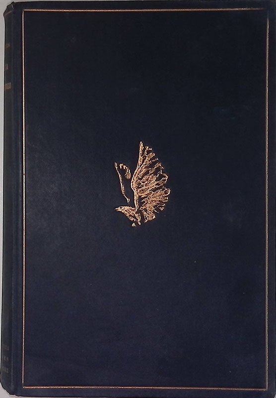 Vita di chirurgo | Immagine principale