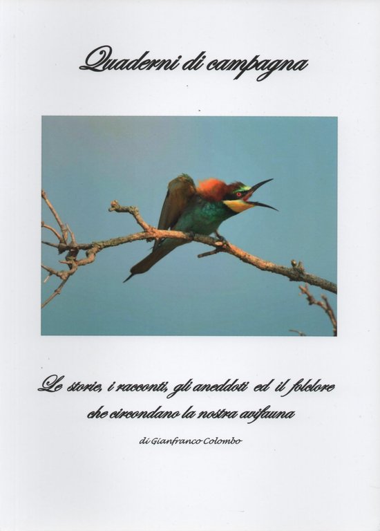 Le storie, i racconti, gli aneddoti ed il folclore che … | Immagine Gallery 2