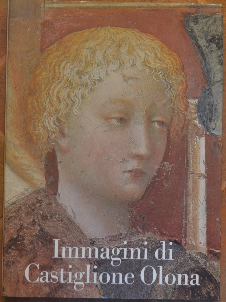Immagini di Castiglione Olona | Immagine principale