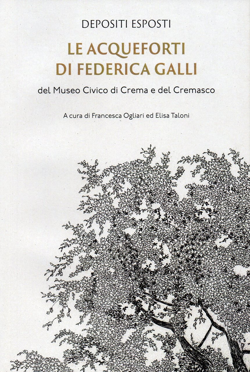 Le acqueforti di Federica Galli del Museo Civico di Crema … | Immagine principale