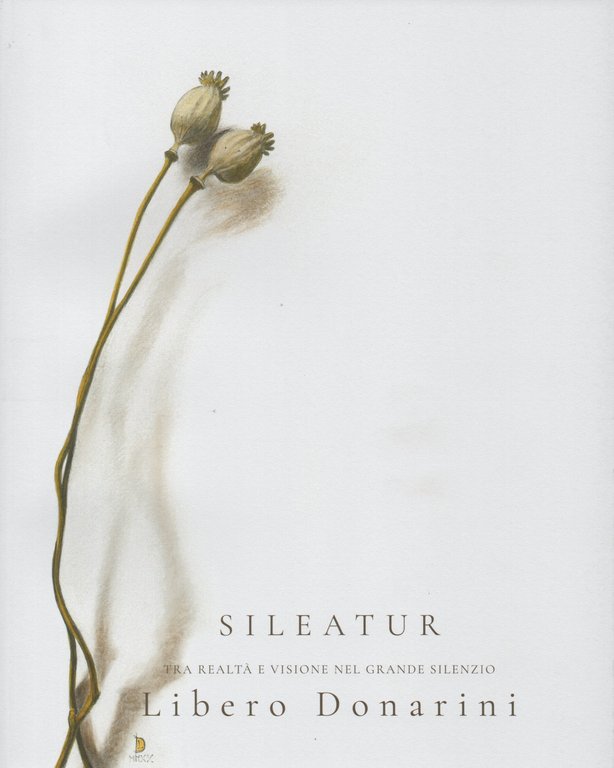Sileatur. Tra realtà e visione nel grande silenzio. Libero Donarini … | Immagine Gallery 2