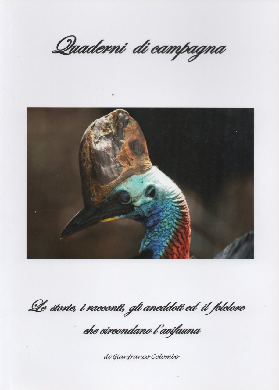 Le storie, i racconti, gli aneddoti ed il folclore che … | Immagine principale