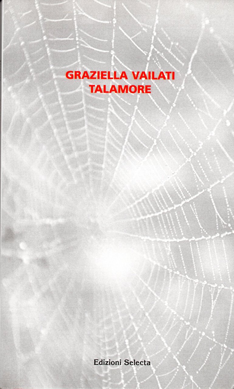 Talamore (ragnatele) | Immagine principale