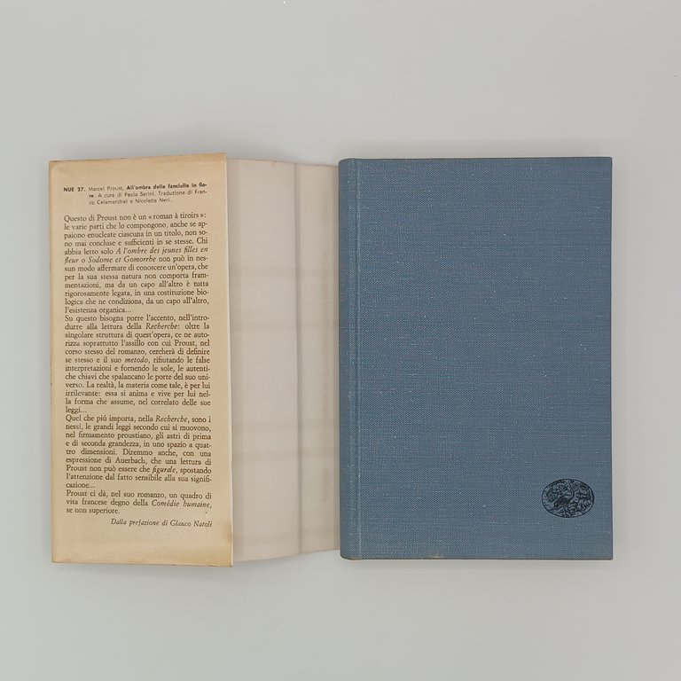 Alla ricerca del tempo perduto (7 Volumi)