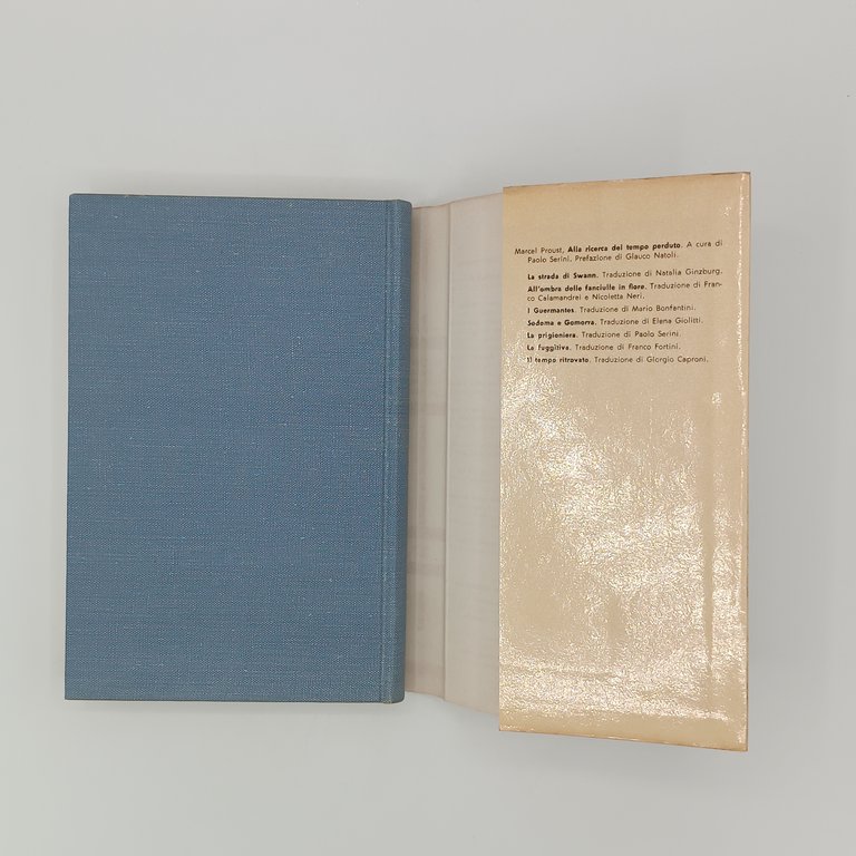 Alla ricerca del tempo perduto (7 Volumi)