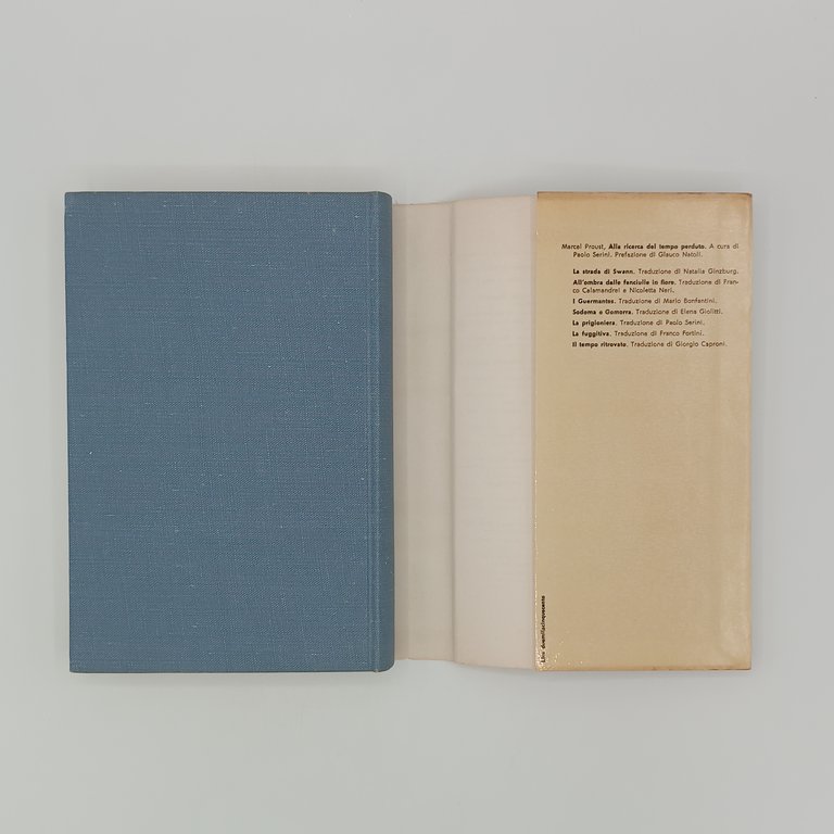 Alla ricerca del tempo perduto (7 Volumi)