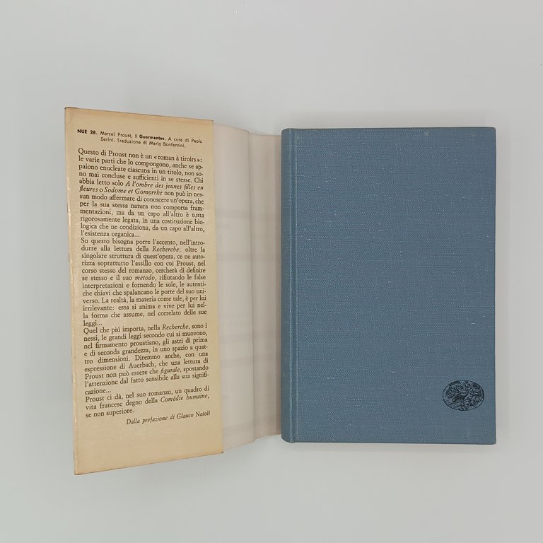 Alla ricerca del tempo perduto (7 Volumi)