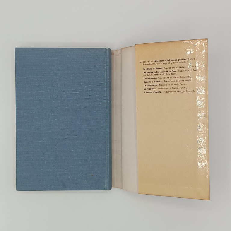 Alla ricerca del tempo perduto (7 Volumi)