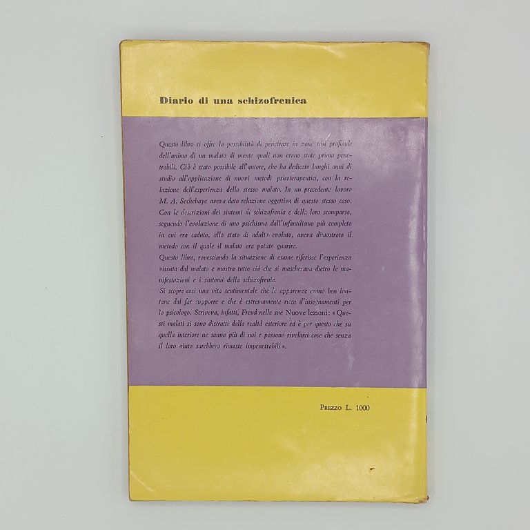 Diario di una schizofrenica