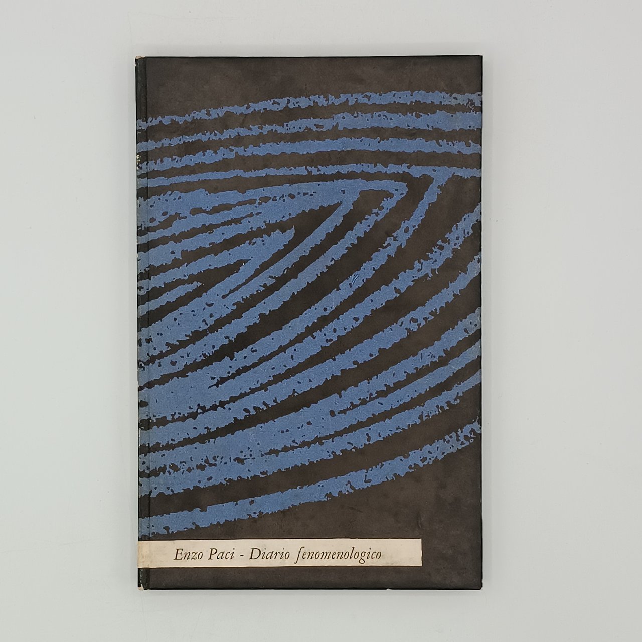 Diario fenomenologico | Immagine principale