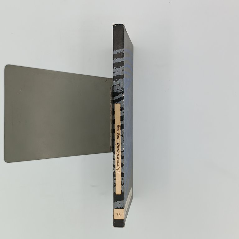 Diario fenomenologico | Immagine Gallery 3