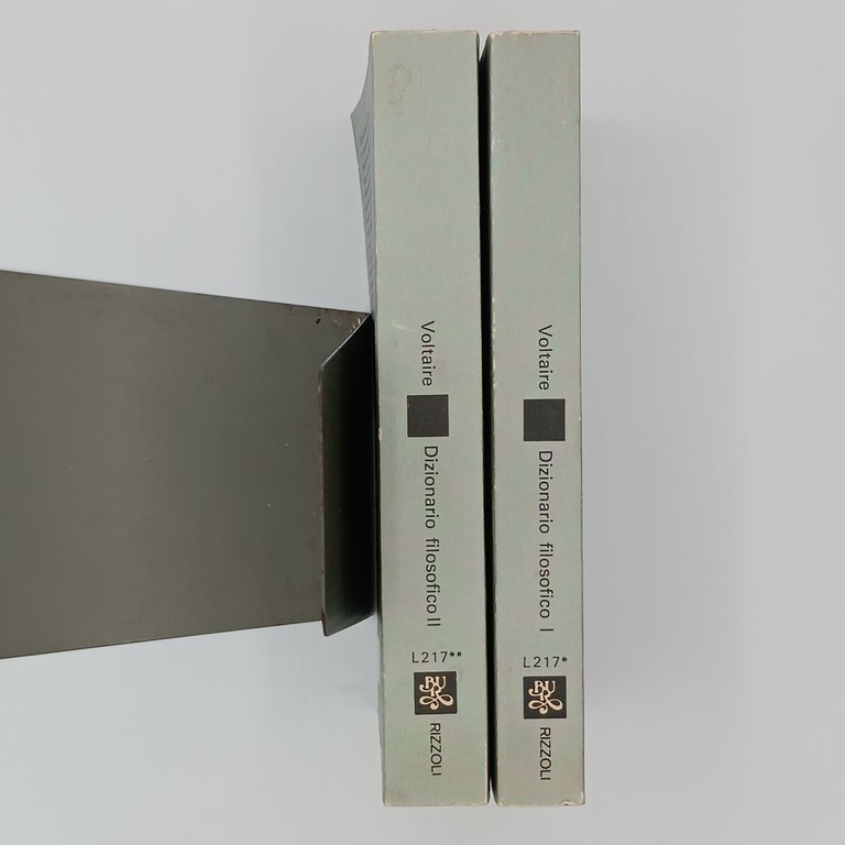 Dizionario filosofico (2 volumi)