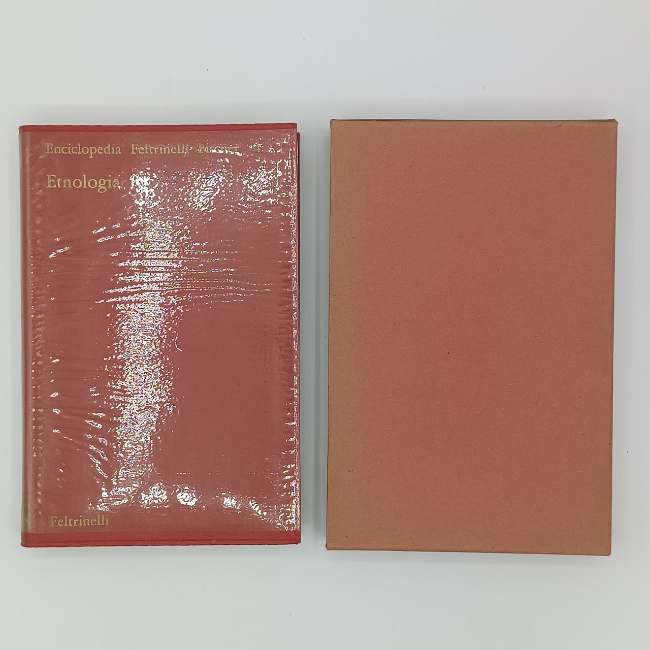 Etnologia (Enciclopedia Feltrinelli Fischer 4)