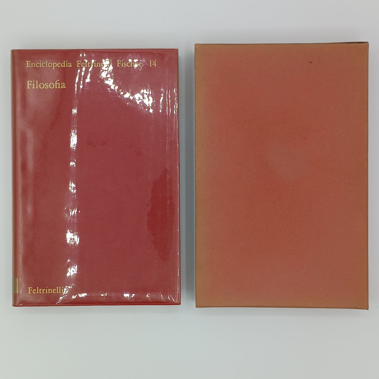 Filosofia (Enciclopedia Feltrinelli Fischer 14)